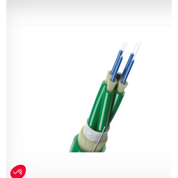 英國(guó)Scaime 2合1力傳感器K1882-100kN